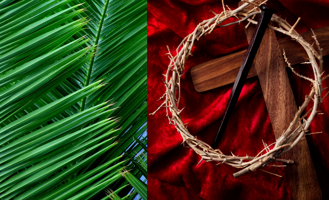 Worship on Palm & Passion Sunday March 28th, 2021 St. Matthew's