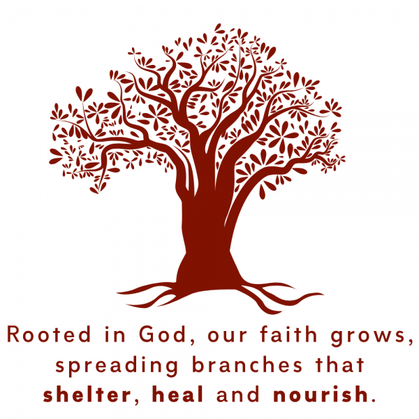 Shelter, Heal, and Nourish: Watch our new video now!